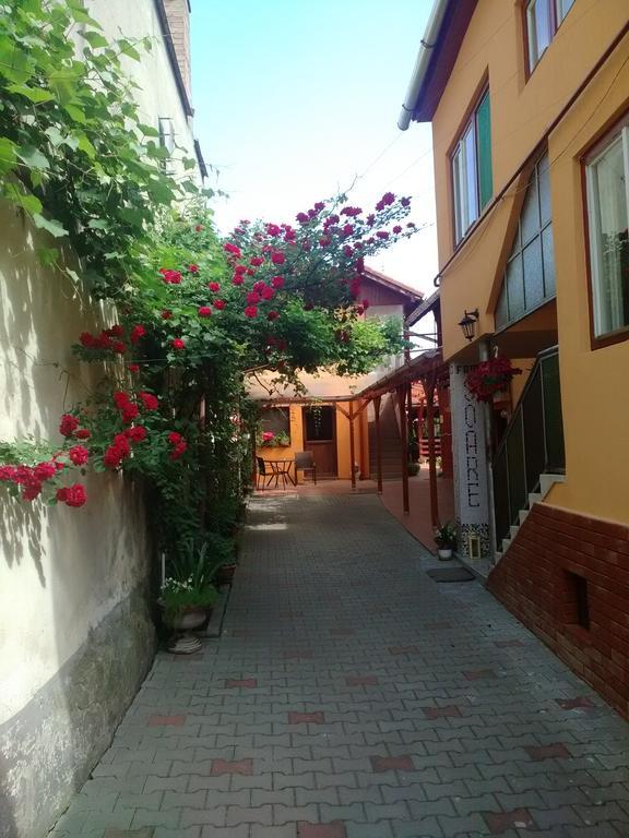 Casa Soare Check-In Independent Hotel Sighisoara Exterior photo